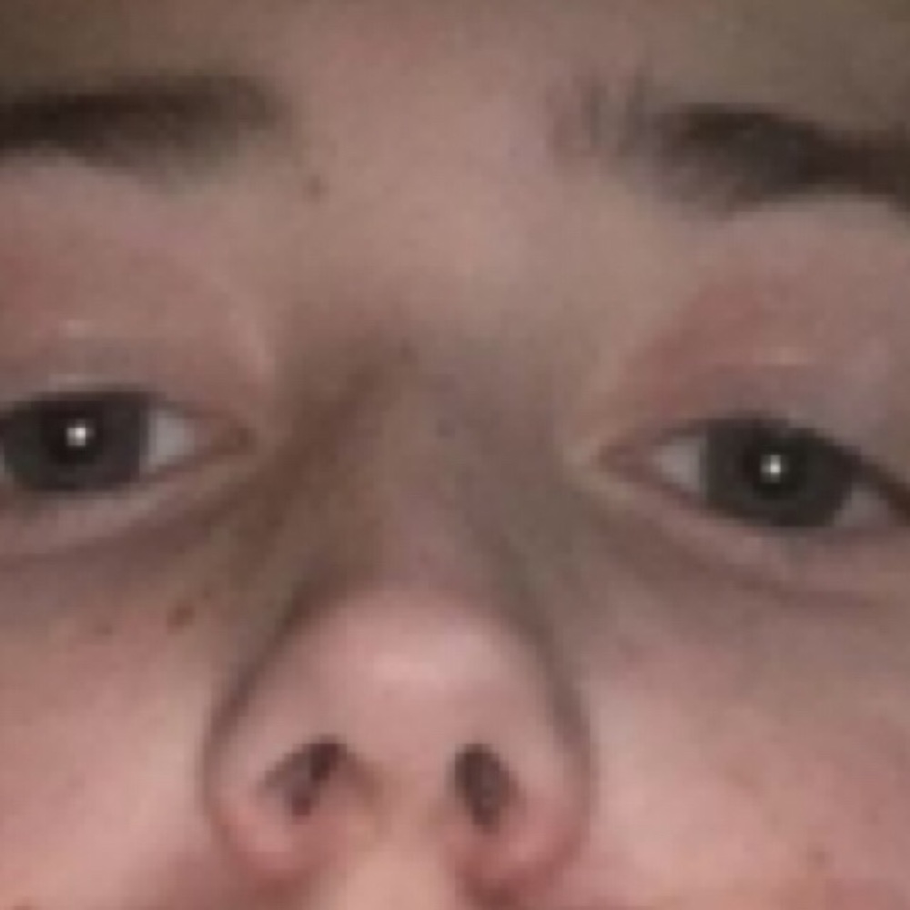 Meet your Posher, Max